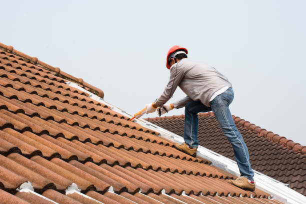 Sheet Metal Roofing in Claryville, KY