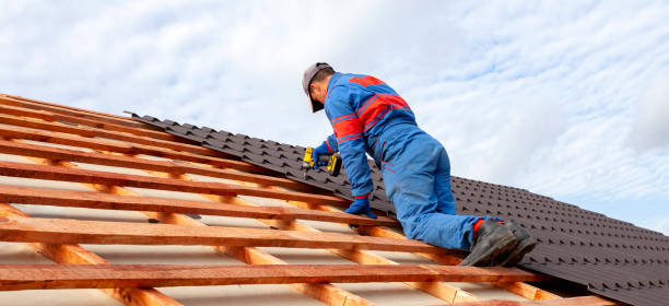 Best Roof Ventilation Installation  in Claryville, KY
